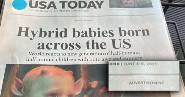 Newspaper, Text, Person