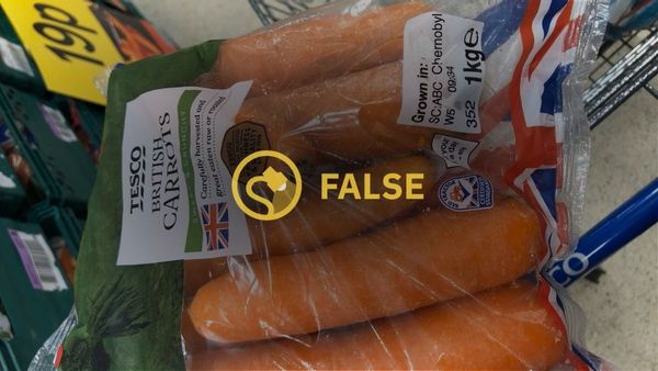 A photograph purportedly shows a bag of carrots that were grown in Chernobyl.