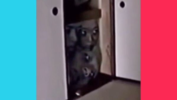 The faces in the closet viral video is on TikTok and might be a Japanese horror film.