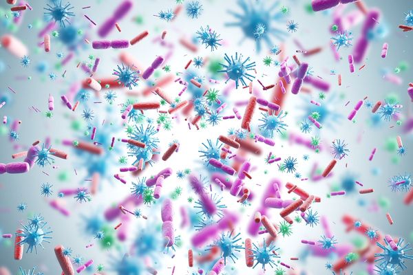 germs and bacteria