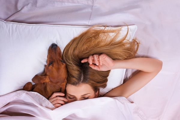 Beautiful,Girl,Is,Sleeping,Under,A,Blanket,On,A,Pillow