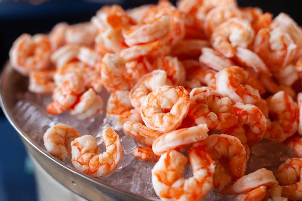 Shrimp, Seafood, Sea Life