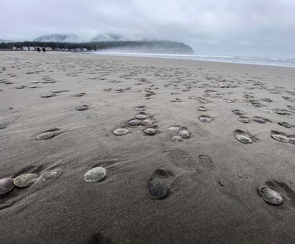 Sand, Outdoors, Nature