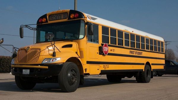 Bus, Vehicle, Transportation