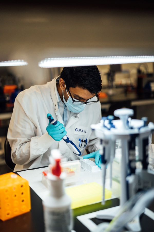 Lab, Person, Human