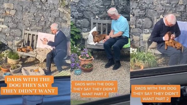 Person, Human, Yard