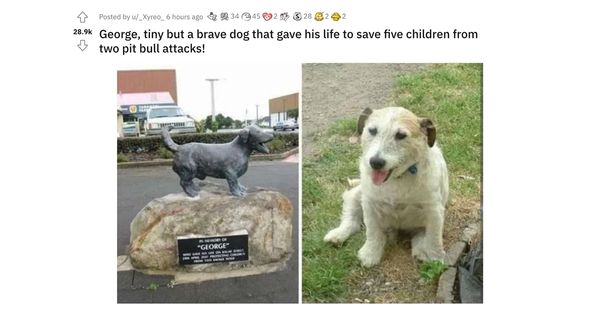 It's true that a tiny and brave dog named George gave his life to save five children from two pit bull attacks on Kauae Street in Manaia in Taranaki in New Zealand on April 29 2007.