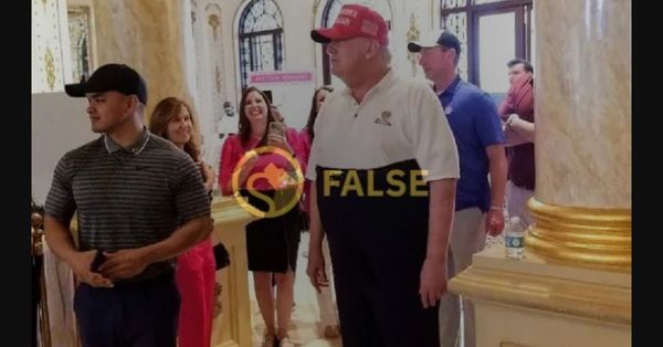 trump high waisted pants