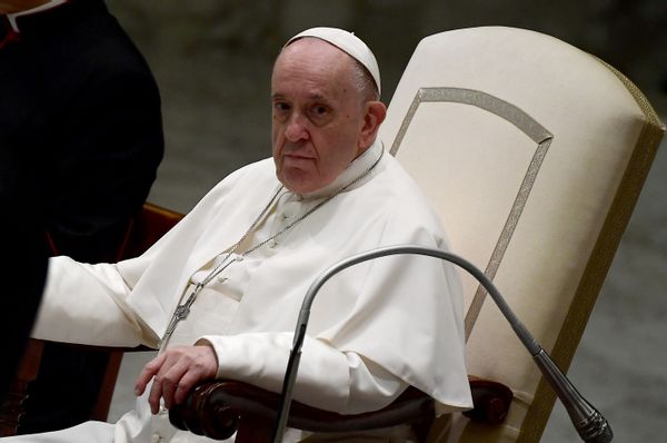 Pope Francis made remarks on children and pets such as cats and dogs and well as adoption.
