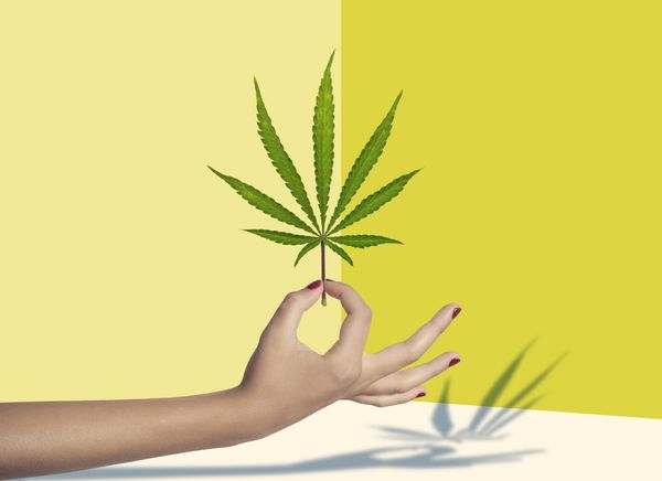 Plant, Person, Human
