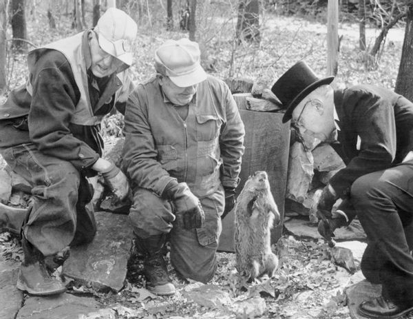 groundhog day, punxsutawney phil