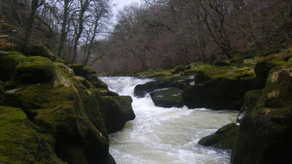 Bolton Strid