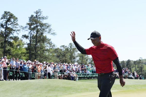 Tiger Woods CBD Gummies reviews littered Google search results even though the pro golfer never endorsed or authorized the products.