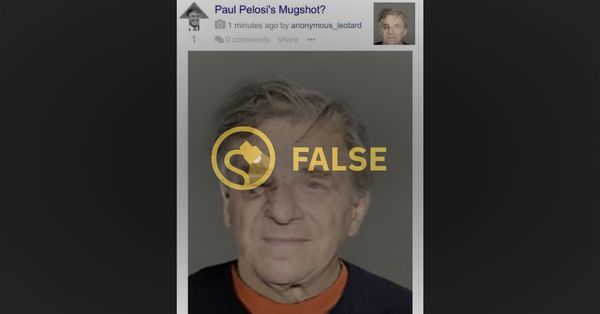 fake paul pelosi mugshot