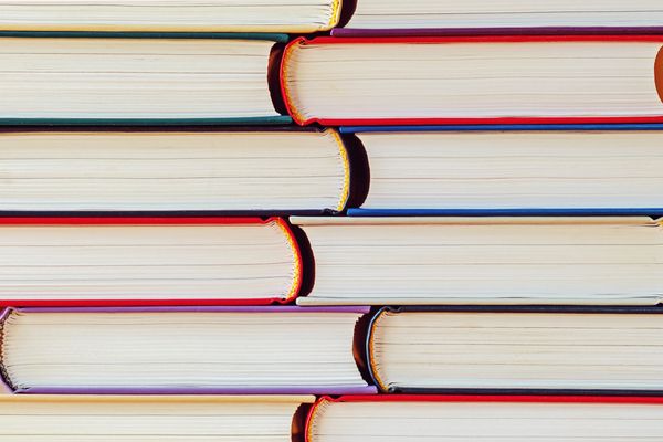 back to school: battling misinformation with a university librarian