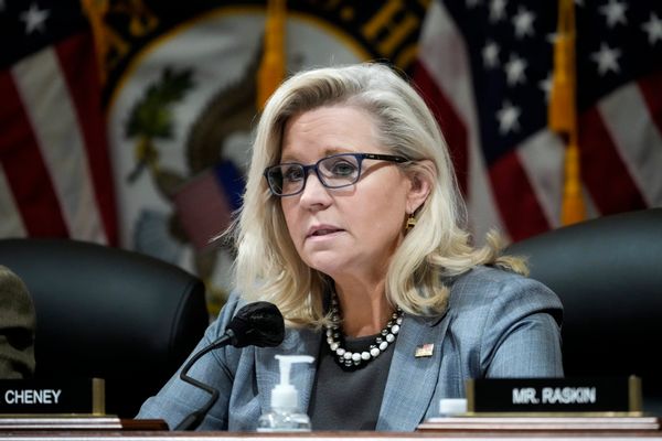 Polling conducted 10 days before the election revealed Cheney trailing political newcomer Harriet Hageman by nearly 30 points.