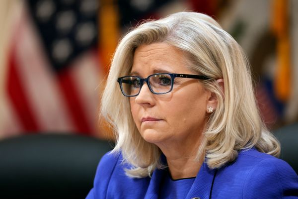 Liz Cheney said the words very sick about the Republican Party, saying I think it also tells you that large portions of our party including the leadership of our party both at the state level in Wyoming as well as on a national level with the RNC is very sick.