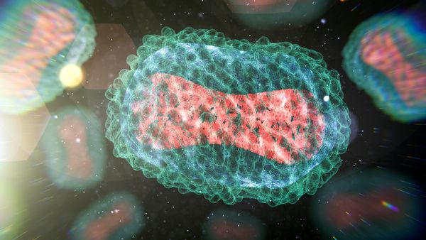 Is Monkeypox Spread Through Airborne Droplets?