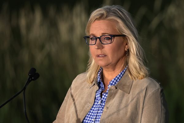 Liz Cheney responded to Donald Trump's endorsement of Harriet Hageman and said bring it and here's a sound bite for you.