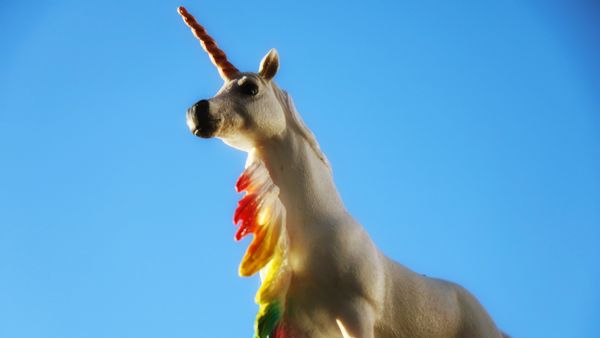 Did LA County animal control approve a girl's request for a unicorn license?