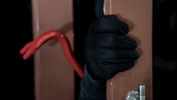 A satirical article had a headline that read as follows: Burglar sues homeowner after being raped by German shepherds while stuck in the pet door for the house.