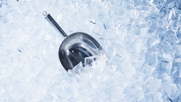 YouTube removed a video for a paid ad that promoted an odd ice hack or an Alpine ice hack for a diet supplement named Alpilean.