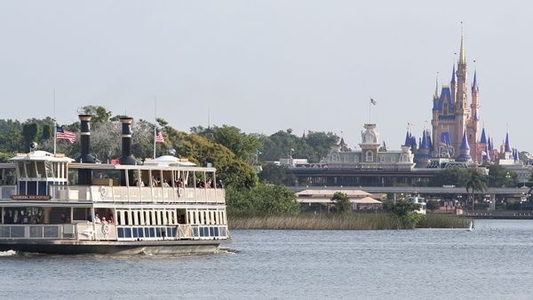 walt disney world