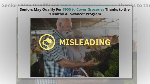 An ad says, "Seniors May Qualify For $900 to Cover Groceries Thanks to the "Healthy Allowance" Program." The ad says "Misleading" over it.