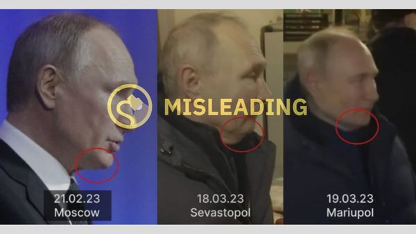 do photos of putin's chin prove he has a body double?