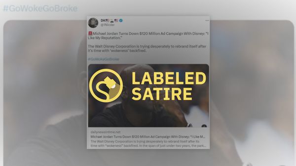 A claim that Michael Jordan has turned down a Disney ad campaign is labeled satire.