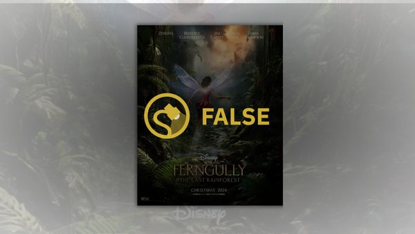 A movie poster that claimed to be for the live-action remake of Ferngully is labeled Fake.