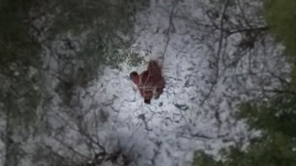 A headline claimed that new drone footage of Bigfoot was the best evidence yet of its existence.