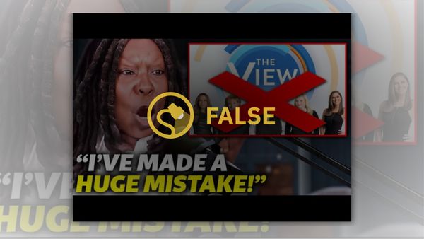 An image that says Whoopi Goldberg made a huge mistake, as well as a red X over "The View" cohosts, is labeled False.