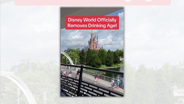 An image says "Disney World officially removes drinking age" over a picture that shows Cinderella's Castle in the distance. You can also see people are walking around the park outside.