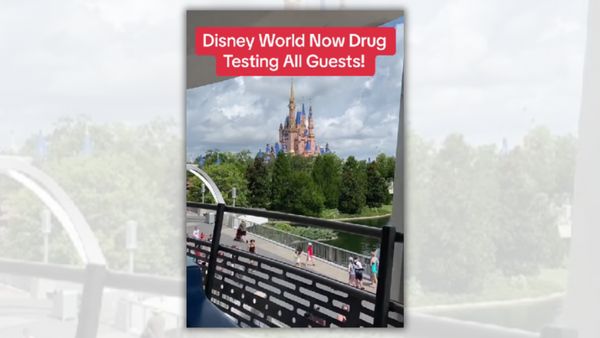 A castle is shown amongst trees, with people walking around nearby. White text sitting on a red background above the castle says, "Disney World Now Drug Testing All Guests!"