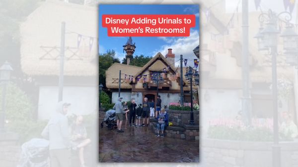 A line stands outside a cottage building. White text above it says, "Disney Adding Urinals to Women's Restrooms!"