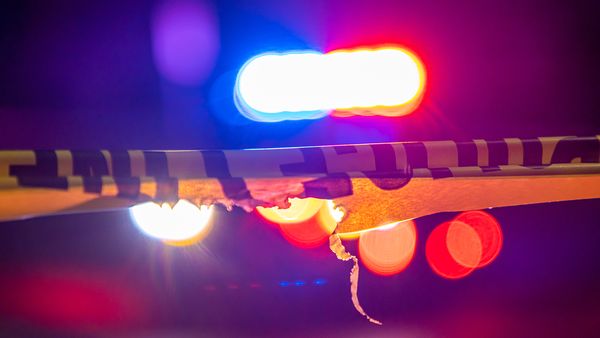A headline claimed that a burglar was suing a homeowner after being violated by two German Shepherds when he became stuck in a dog door.