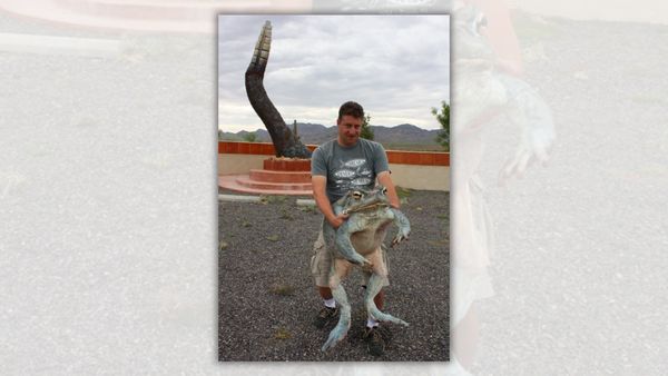 A white person holds a frog that takes up more than half his body.