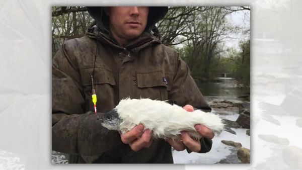 A white person holds what appears to be a furry fish next to a river.