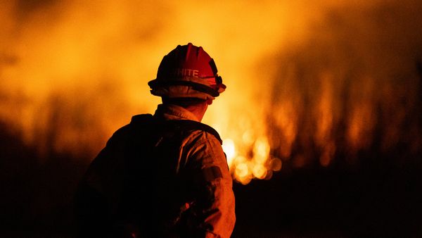 A firefighter's back is towards the camera as they look at a fire in front of them.