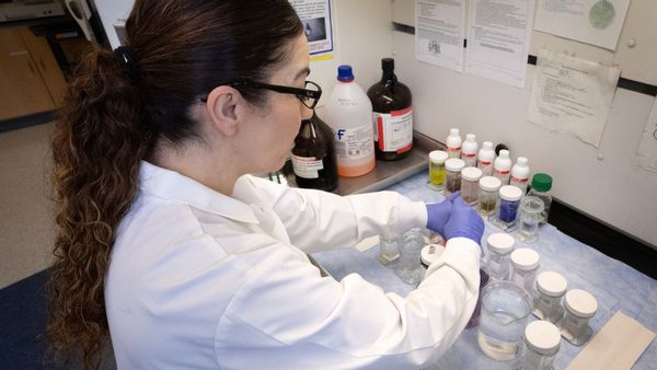 A white woman wearing a white lab coat looks down at several different research samples she's working with.
