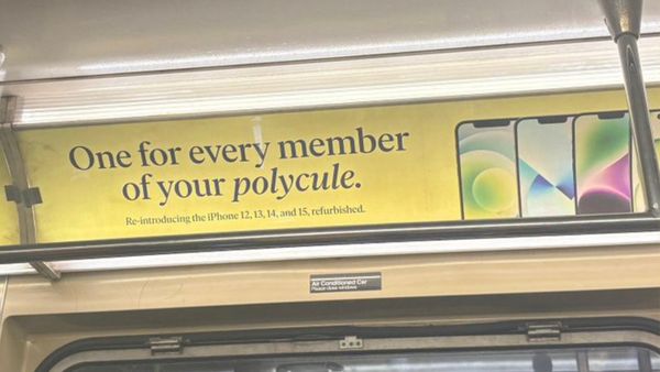 An advertisement in a subway car that says "One for every member of your polycule. Re-introducing the iPhone 12, 13, 14, and 15, refurbished." 