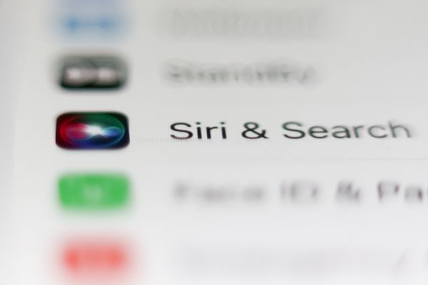 A photo of an iPhone's "Siri and Search" setting.