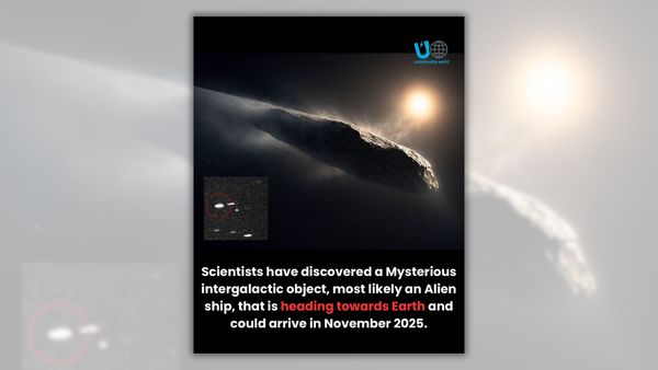Screenshot of Instagram post about comet being an alien ship. Shows a generic asteroid behind a screengrab from a radio telescope and above text saying the comet is "most likely" an alien ship