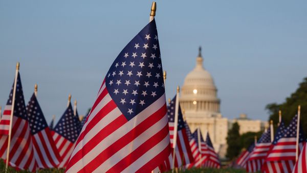 American flags displayed on the lawn of the National Mall with the U.S. Capitol Building in the background 