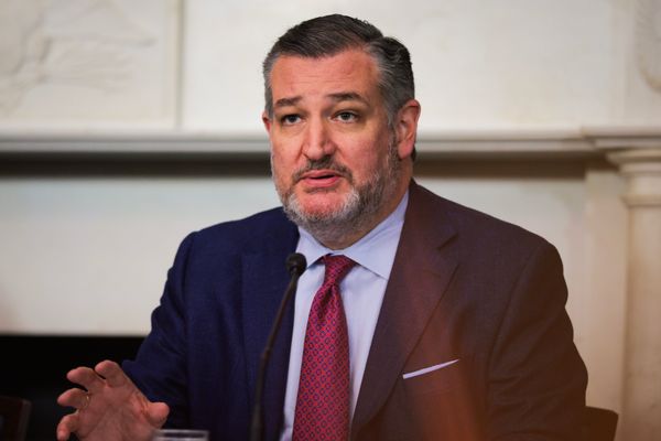 Sen. Ted Cruz, a Texas Republican, sitting at a table in front of a skinny microphone. He is a white man with salt and pepper hair and a beard wearing a suit. 