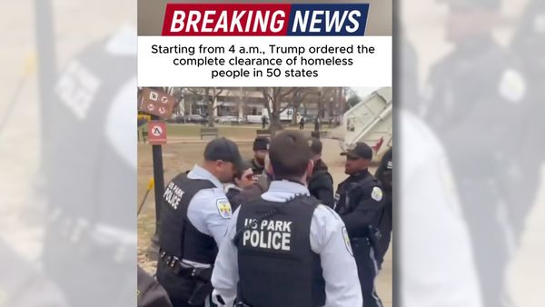 Screenshot of fake news report TikTok video -- "breaking news" at top of image followed by text: "Starting from 4 a.m., Trump ordered the complete clearance of homeless people in 50 states." Frame of park police below.