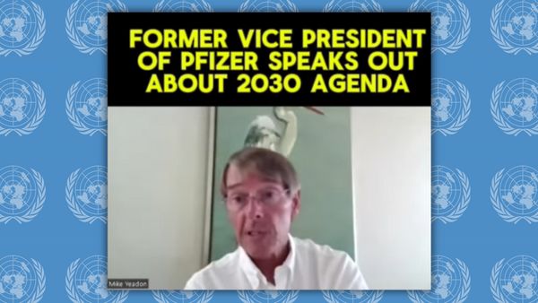 In this photo illustration, the caption, "FORMER VICE PRESIDENT OF PFIZER SPEAKS OUT ABOUT 2030 AGENDA," is emblazoned above an image of a Zoom call with a white man wearing glasses sitting in front of a swan portrait. The backdrop is a blue repeated pattern of the. United Nations logo, a globe encircled by a wreath. 