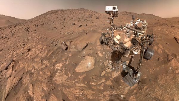 Photo of the Mars Perseverance rover on Mars' surface. It has a bunch of wheels and a camera on a long neck, kind of like a funky Wall-E.