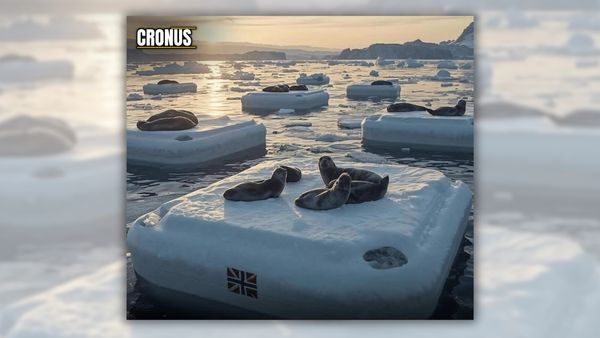 An artificially generated image of a group of seals laying on top of a rectangular artificial block of ice.